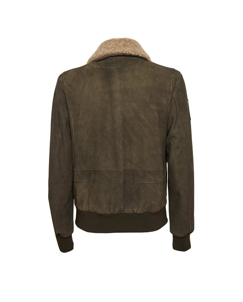 Stewart TORNADO-CHEVRETTE SKIN REMOVABLE COLLAR Online Outlet